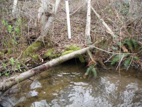 This photo shows the existing 24 inch culvert between 28th Avenue South and Military Road South.