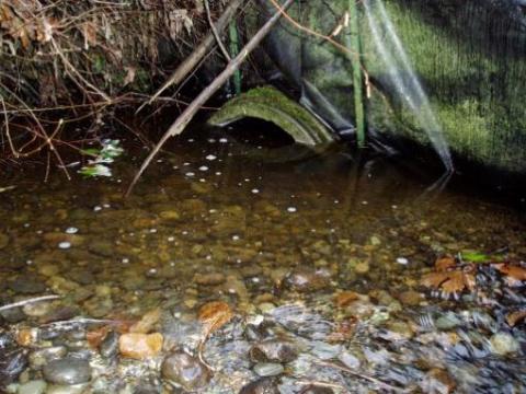 This photo shows the existing 24 inch culvert at the intersection of SR 161 and 28th Avenue South near Federal Way