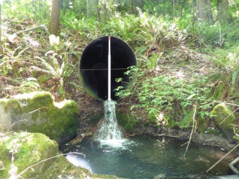 A photo of the culvert that carries Sunset Creek under I-90 near Bellevue