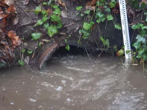 A view of culvert under SR 516. 