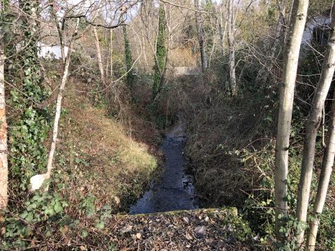 A photo looking upstream at Penny Creek as it disappears into a culvert that carries it under SR 527 in Mill Creek