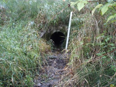 The existing culvert on SR 202 is just 2 feet in diameter 