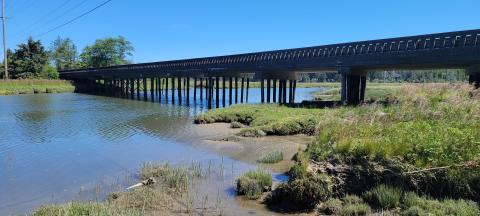 A bridge across a creek featuring the wooden piers holding it up