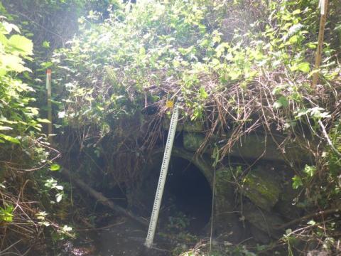 A photo of the culvert that carries Ginder Creek to Rock Creek under SR 169 near Black Diamond