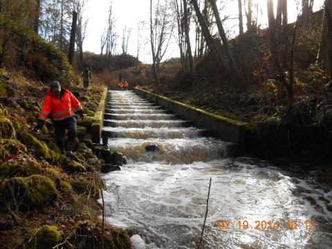 A photo of an outdated fish ladder at Lees Creek near US 101 in Port Angeles.