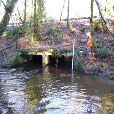 Little Minter Creek travels under State Route 302 in Purdy and is a barrier to fish migration.