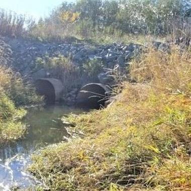 Existing fish barriers at SR 539 Duffner Ditch.