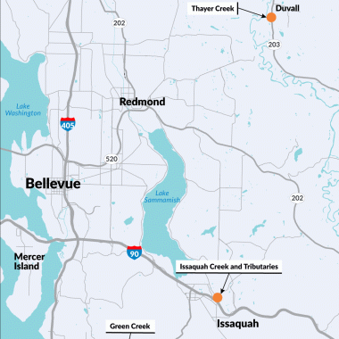 A map showing four sites to improve fish habitat on I-90 at Issaquah Creek and tributary, SR 202 at Little Bear Creek, SR 203 at Thayer Creek and SR 900 at Green Creek.