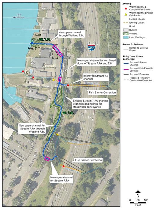 Map showing the proposed stream connection design concept  for this project.