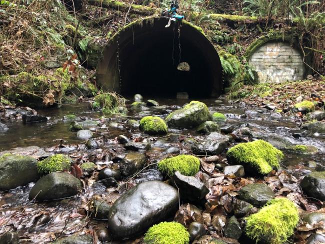 A photo of Pussyfoot Creek looking upstream through the existing culvert