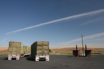 Photo of Dusty safety rest area on SR 26