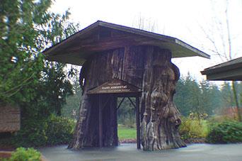 Photo of Smokey Point safety rest area on northbound I-5