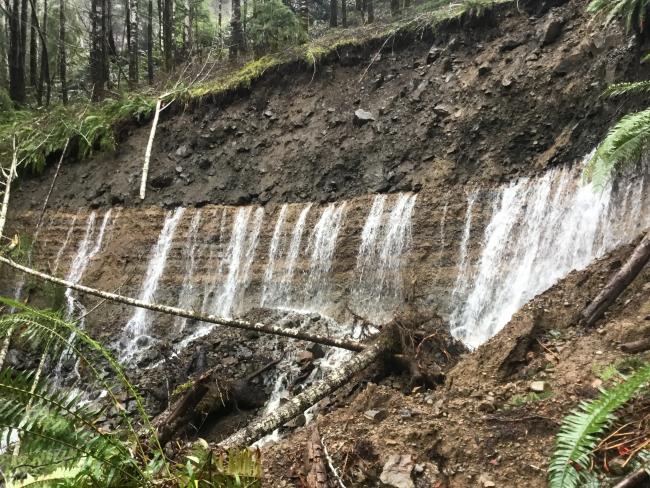 Photo of water gushing through hillside because of the clogged culvert pipe.