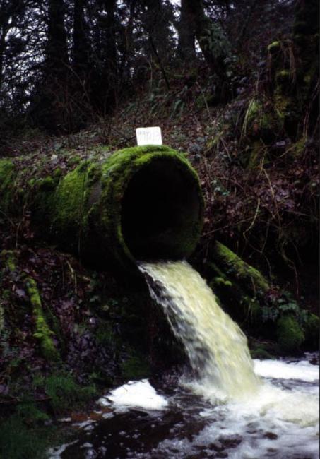 A photo showing the existing Seconds Creek culvert as it crosses under SR 164 that poses a fish barrier.