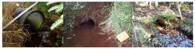 A photo showing the three existing concrete culverts under I-5 that will be removed and replaced with fish-passable structures.