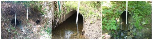 A photo showing the existing culverts under SR 525 that will be removed and replaced with fish-passable structures.