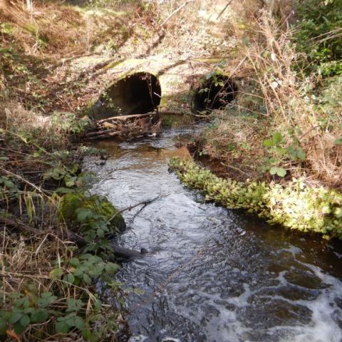 Photo of the current inlet at the Miller Creek crossing.